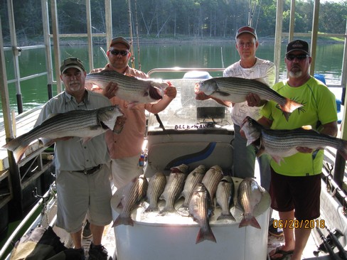 Nice Striped Bass